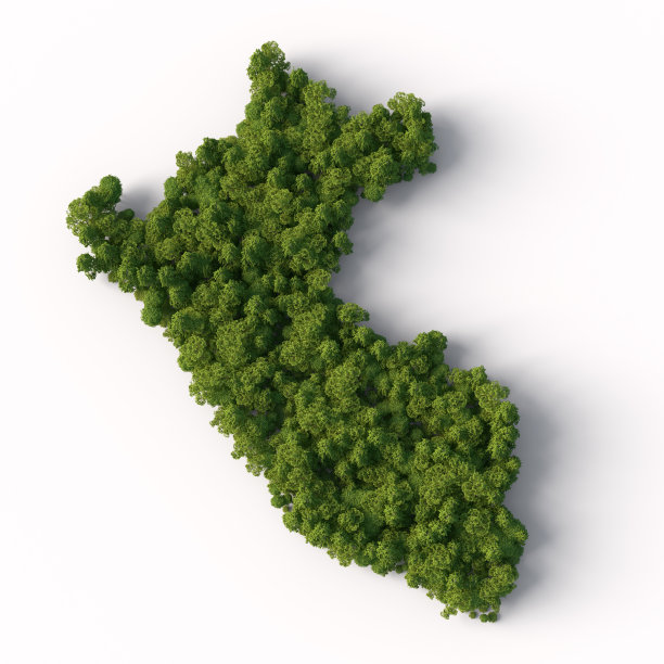 秘鲁地图形状的森林图片下载