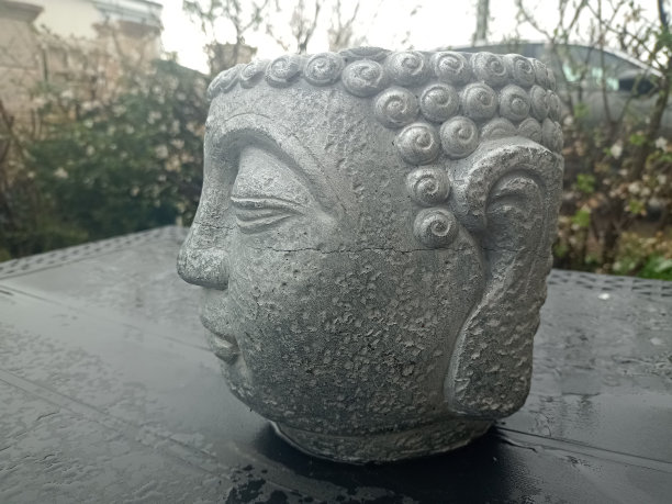 雨后，我在城市的精神世界外面拍了一张佛头的照片图片下载