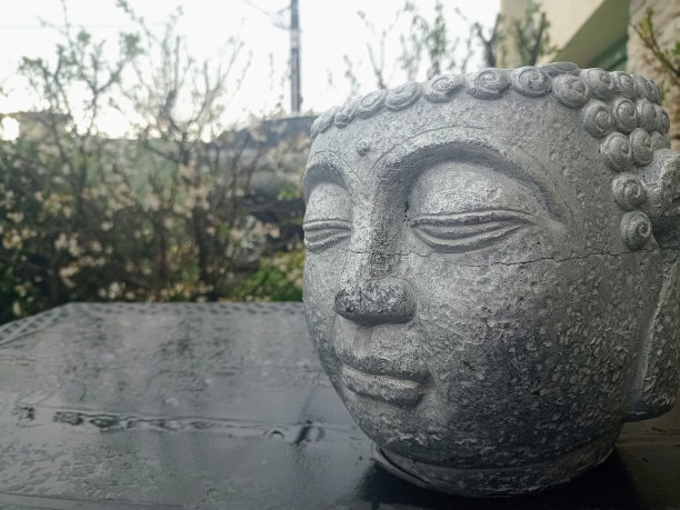 雨后，我在城市的精神世界外面拍了一张佛头的照片图片下载