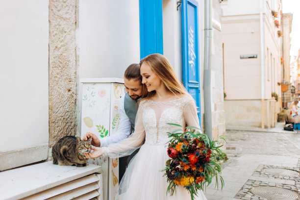 甜蜜的新婚夫妇在街上抚摸着一只猫。疯狂的年轻夫妇。图片下载