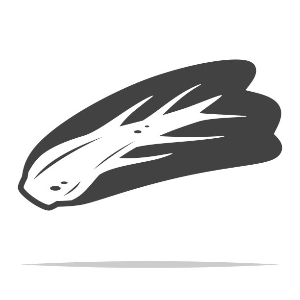 白菜泡菜图标矢量孤立图片下载