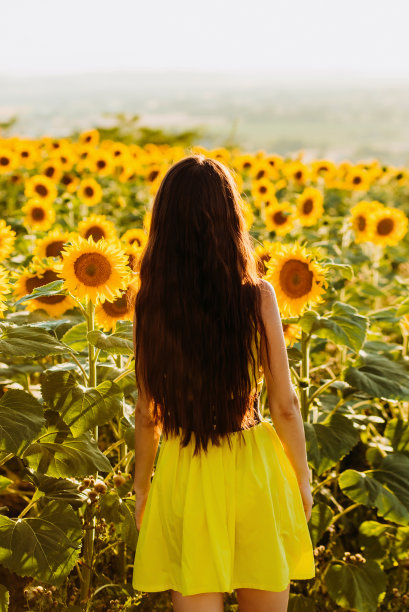美丽的黑发女郎，身着黄色连衣裙，站在向日葵丛中图片下载