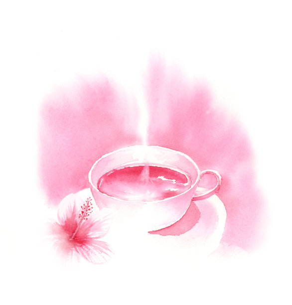 木槿茶水彩画图片下载