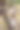 美丽多彩的杏花盛开图片下载