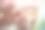 雅典娜的比雷埃夫斯考古博物馆从正面的100 100希腊德拉克马德拉迈钞票图片下载