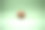 绿色背景上的椰子。绿松石色背景的热带水果。整个图片下载