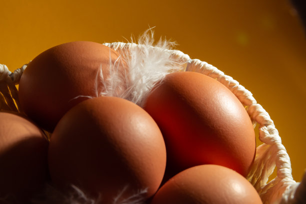 白色手工草编篮子装满鸡蛋和羽毛在黄色的背景。副本的空间。空的文本。复活节卡片。春天的模型设计。健康的食品。农业生产。大尺寸图片下载