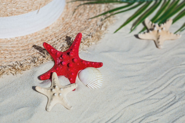 在海上度假的概念。白色的沙滩上有贝壳，星星，一顶草帽。暑假的背景与文本空间。前视图。图片下载