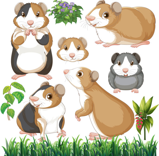 野生动物的无缝图案图片下载