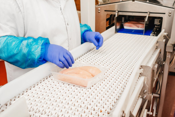 现代家禽加工厂。用肉类生产食品的工厂。传送带上的食物。现代化食品厂的自动化生产线。图片下载