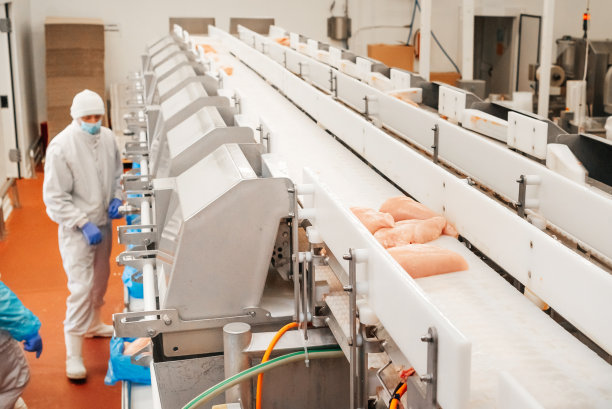 鸡柳生产线。用肉类生产食品的工厂。现代家禽加工厂。传送带上的食物。肉的工厂。图片下载