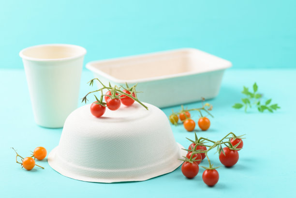 可降解碗和杯，环保和可持续的理念图片下载