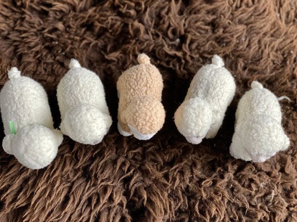 复活节装饰羊羔图片下载