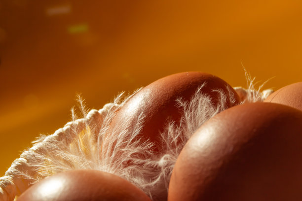 白色手工草编篮子装满鸡蛋和羽毛在黄色的背景。副本的空间。空的文本。复活节卡片。春天的模型设计。健康的食品。农业生产。大尺寸图片下载