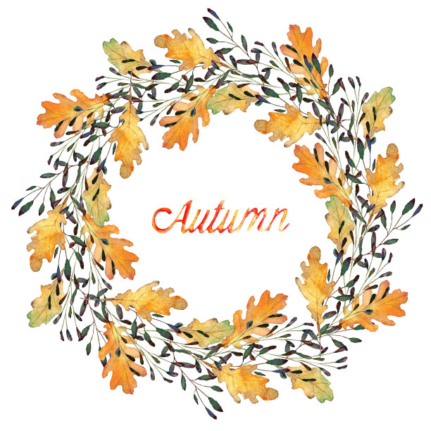 秋叶，水彩，手工制作，给你的卡片，花环，橡树叶图片下载