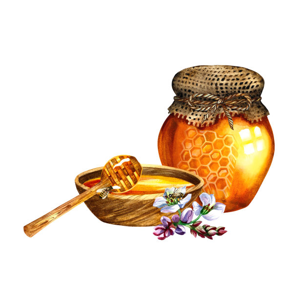 蜂蜜由木碗、玻璃罐、蜜蜂、荞麦花组成。水彩插图。设计解决方案图片下载
