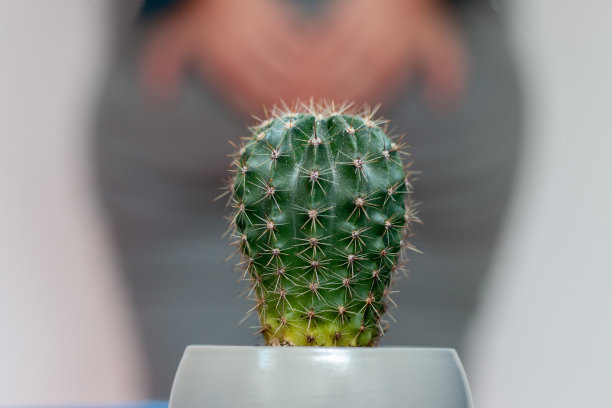花盆里的仙人掌，裤子里的女人正对着他的屁股，靠近点。图片下载