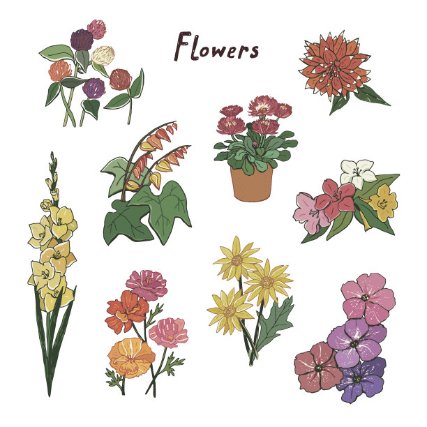 花园夏季花卉插图向量集图片下载