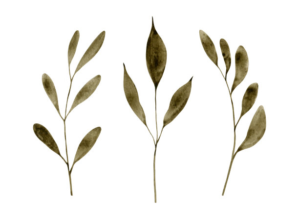 抽象叶夹艺术图片下载