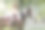 年轻女子骑马在夕阳下的森林中漫步。女牛仔在森林里骑马。美丽的女孩骑在马上。图片下载