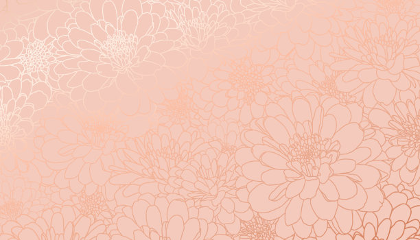 金属箔菊花在平静的珊瑚背景图片下载