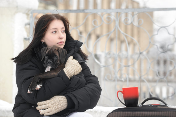 冬天和宠物狗一起乘火车旅行图片下载
