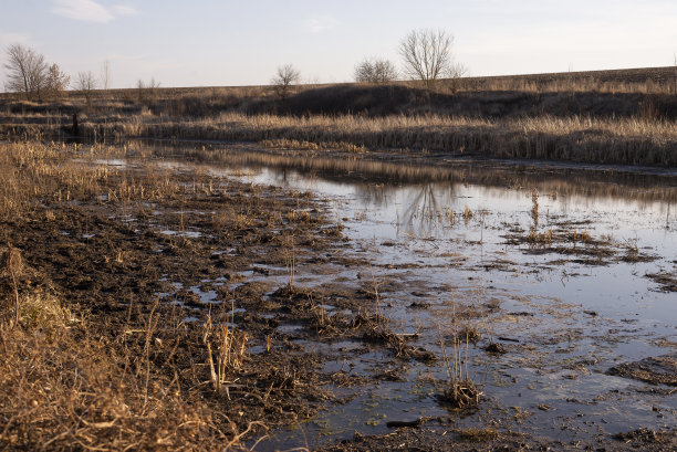 沼泽的视图。被污染的河流。图片下载