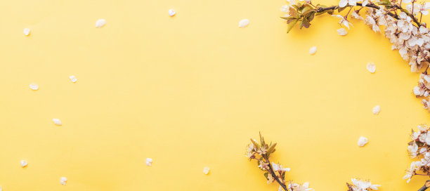 春天的边界，春天的花和四月花的自然粉红色的背景。开花的杏子宏观的分枝与软焦点。为复活节和春天贺卡复制空间。春天。图片下载