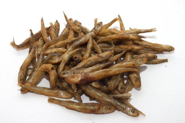 炸鱼acquarelle图片下载