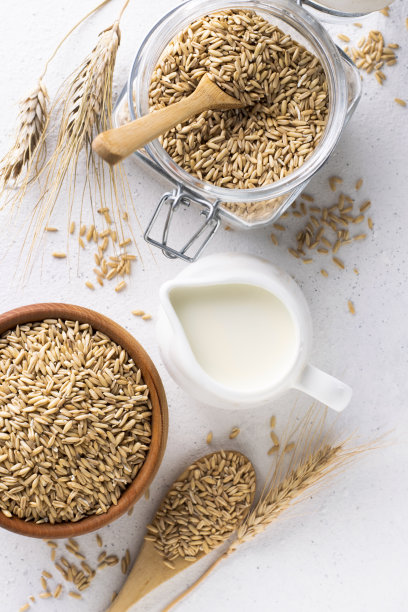 素食替代燕麦牛奶，俯视图。图片下载