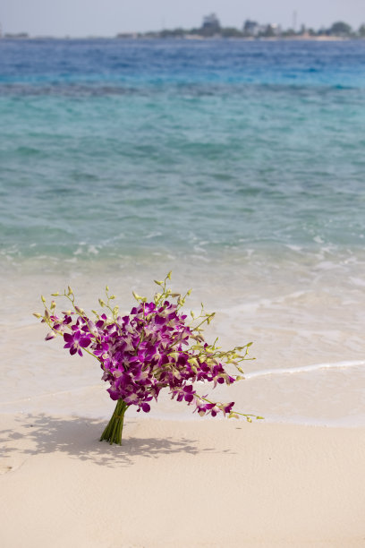 马尔代夫海滩上美丽的新娘花束图片下载