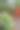 绣球花山丘和木制大门图片下载