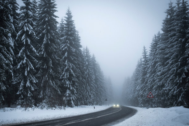 冬天的路图片下载