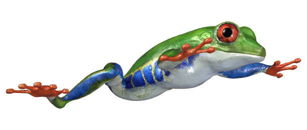 3D渲染亚马逊树蛙在白色图片下载