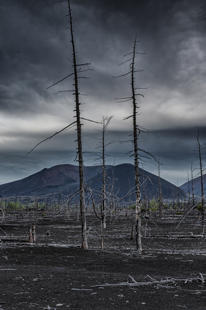 堪察加活火山托尔巴奇克地区的死森林上空的暴风雨天空图片下载