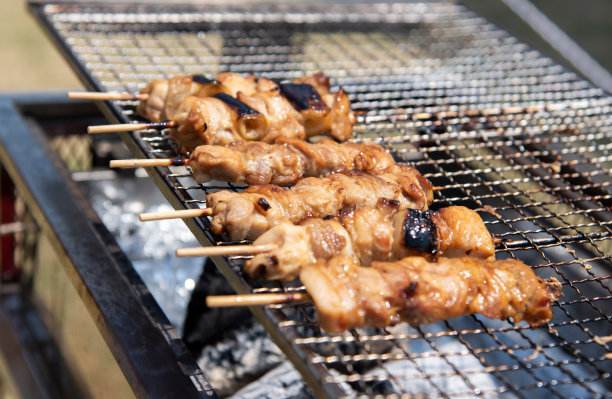 烤鸡肉串是在烧烤架上烤的图片下载