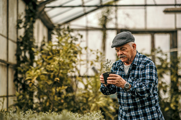 高级的园丁图片下载