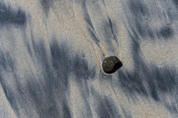 在海滩沙背景的模式图片下载