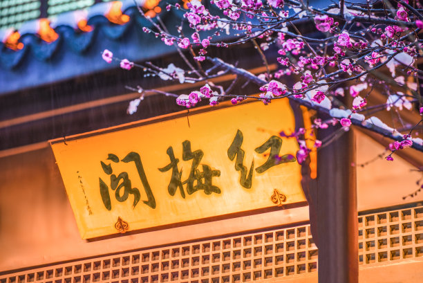 中国江苏省常州红梅公园雪中绽放的红梅图片下载