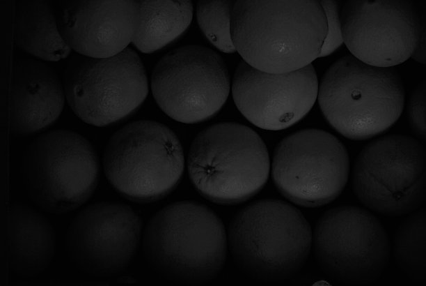 美味的橘子。图片下载