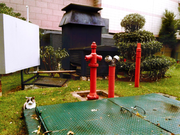 消防栓/消火栓21图片下载