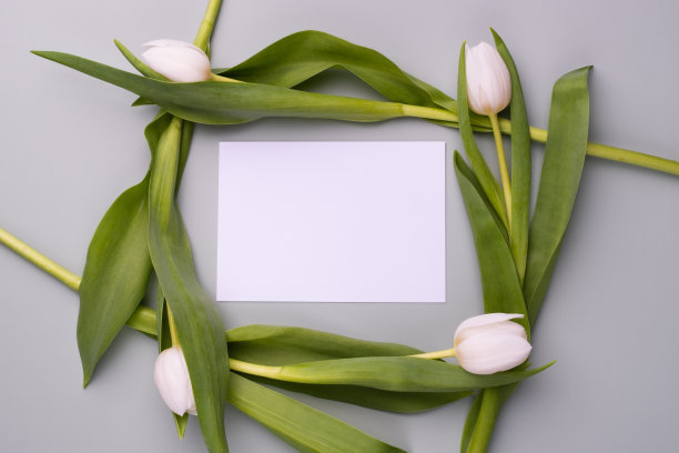 空白的贺卡或邀请。节日的概念。图片下载