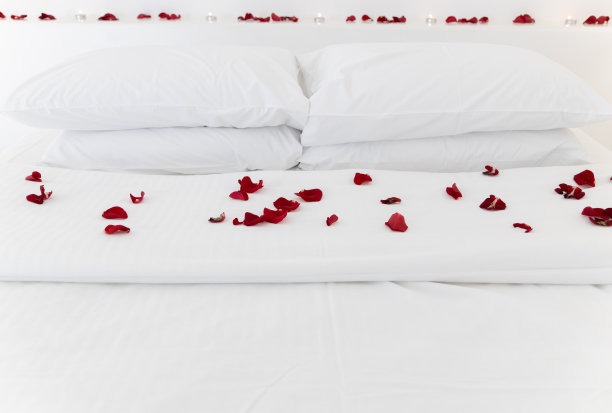 玫瑰花瓣在白色的床前视野广阔的景观图片下载