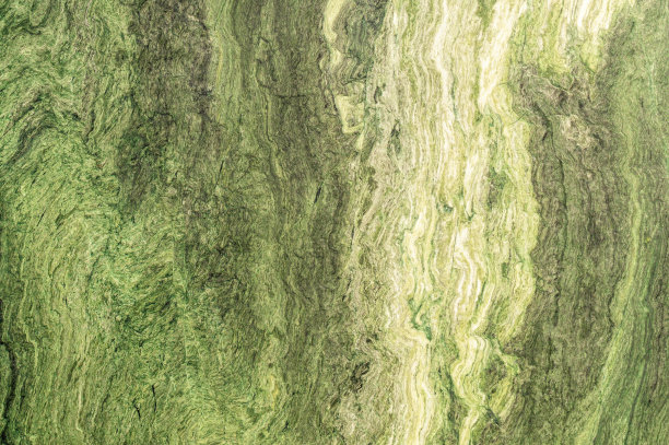 绿色天然大理石石材。背景和纹理图片下载