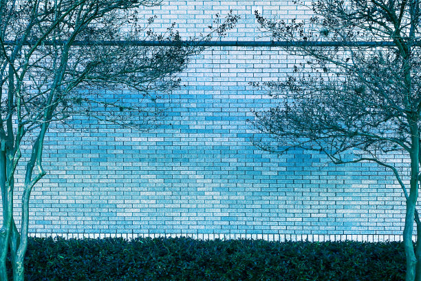 冬天的阴影很大很高的花园围墙后院建筑周围树木冷篱笆院子图片下载