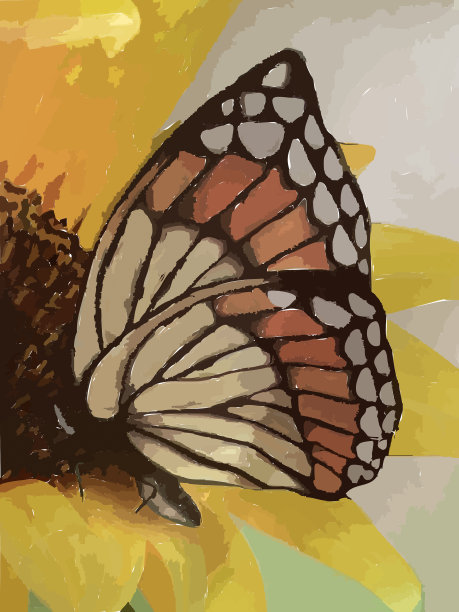 蝴蝶与彩色翅膀的插图黄色的花图片下载