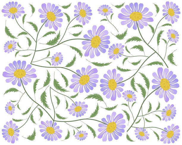 背景的新鲜和美丽的紫色雏菊花图片下载