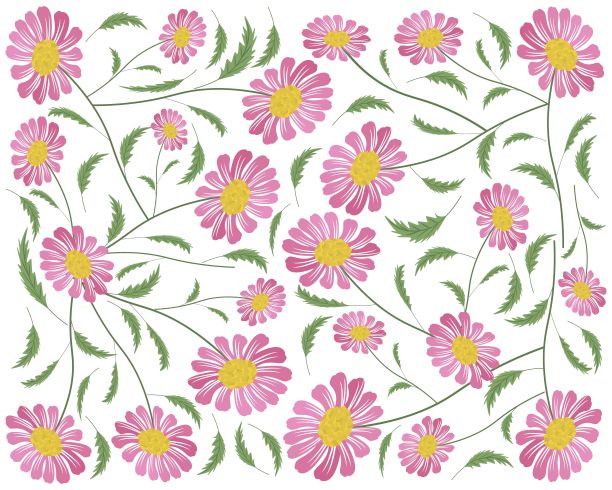 背景的新鲜和美丽的粉红色雏菊花图片下载