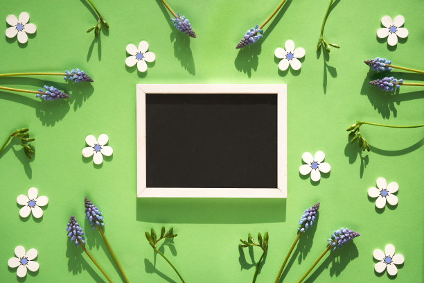 春天平躺在浅绿色的新鲜小苍兰花和木制花卉装饰。黑板上的文本空间，粉笔板图片下载