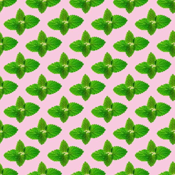 新鲜薄荷叶在粉红色背景上的无缝图案图片下载